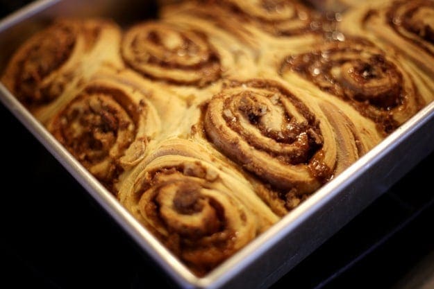 Just baked Cream Cheese Cinnamon Rolls, in a pan