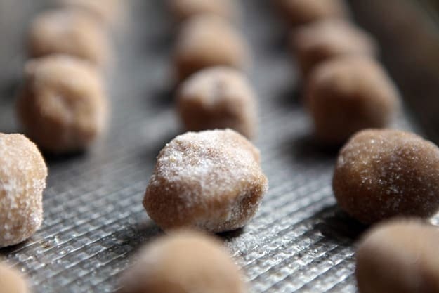 Close up of peanut butter cookie balls in rows coated in sugar on a metal baking sheet