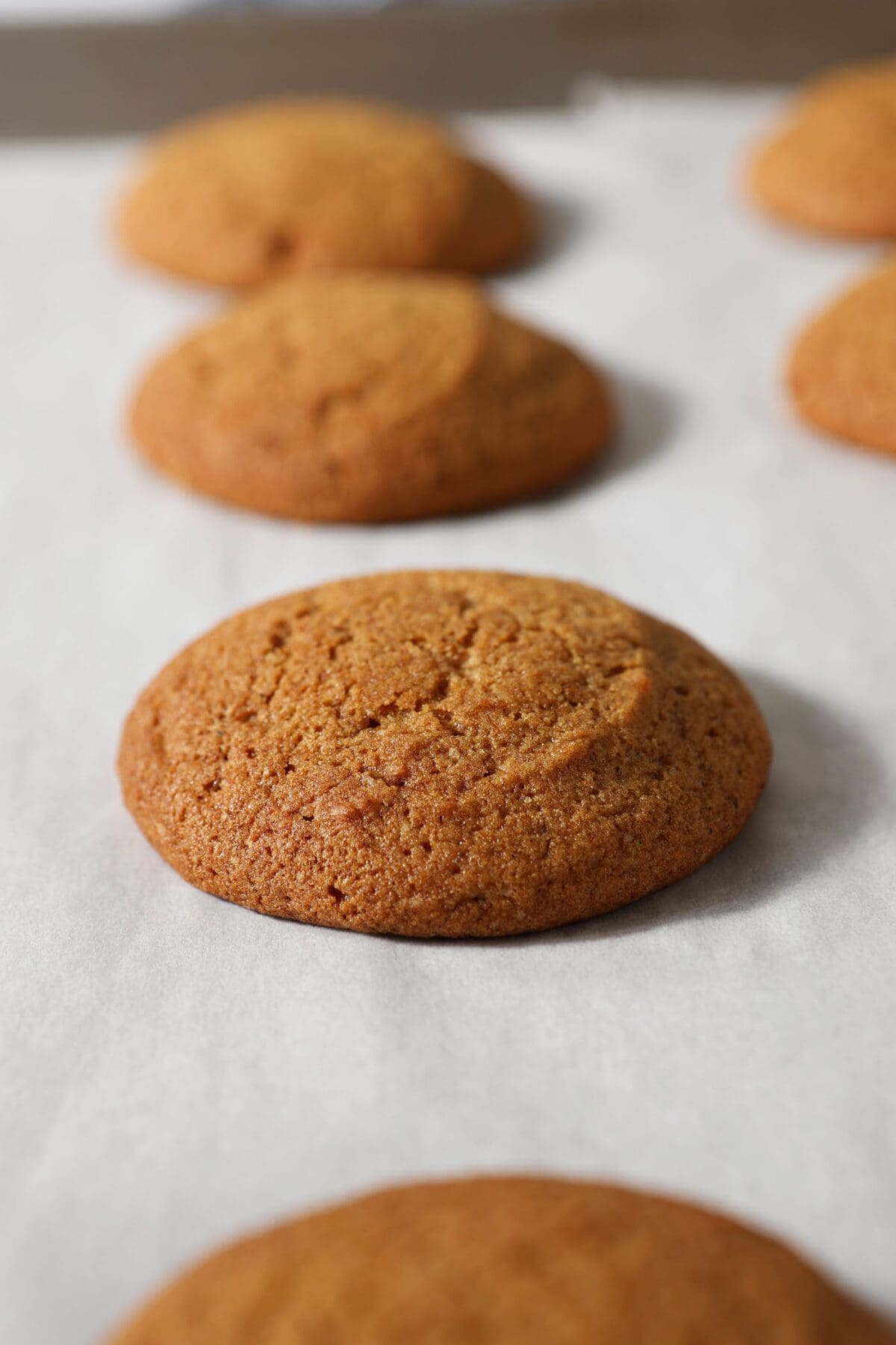 Freshly baked pumpkin cookies on parchment