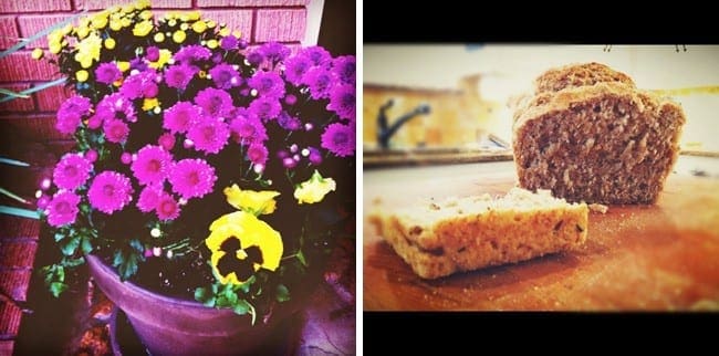 Collage of two images showing purple and yellow flowers and sliced bread on cutting board