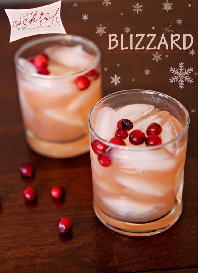 Two Blizzards on a wooden table, surrounded by and garnished with fresh cranberries