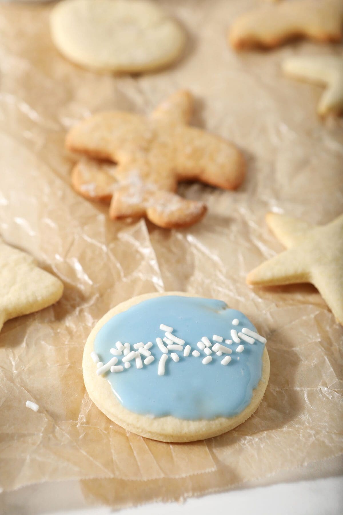 A single iced round sugar cookie with blue icing