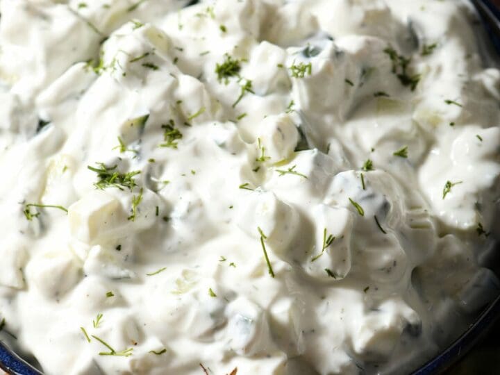 Close up of a bowl of tzatziki sauce surrounded by carrot slivers and pita chips