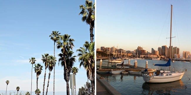 A collage of palm trees and boats on the bay in San Diego