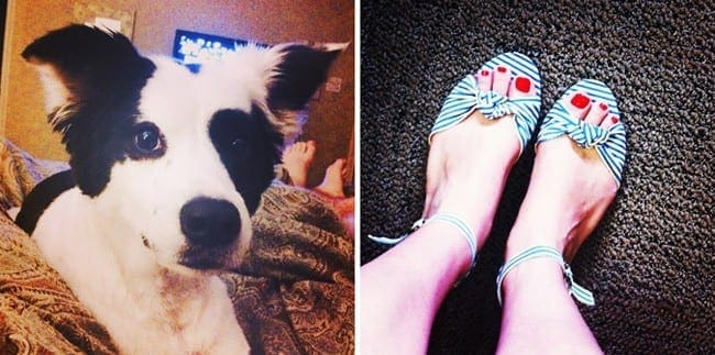 A collage of a black and white dog and a woman's feet in blue and white shoes