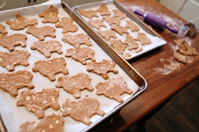 Dog shaped biscuits laying on two baking sheets 