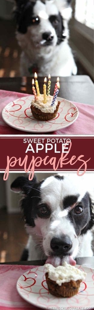 A dog sitting at a table in front of a sweet potato apple pupcake 