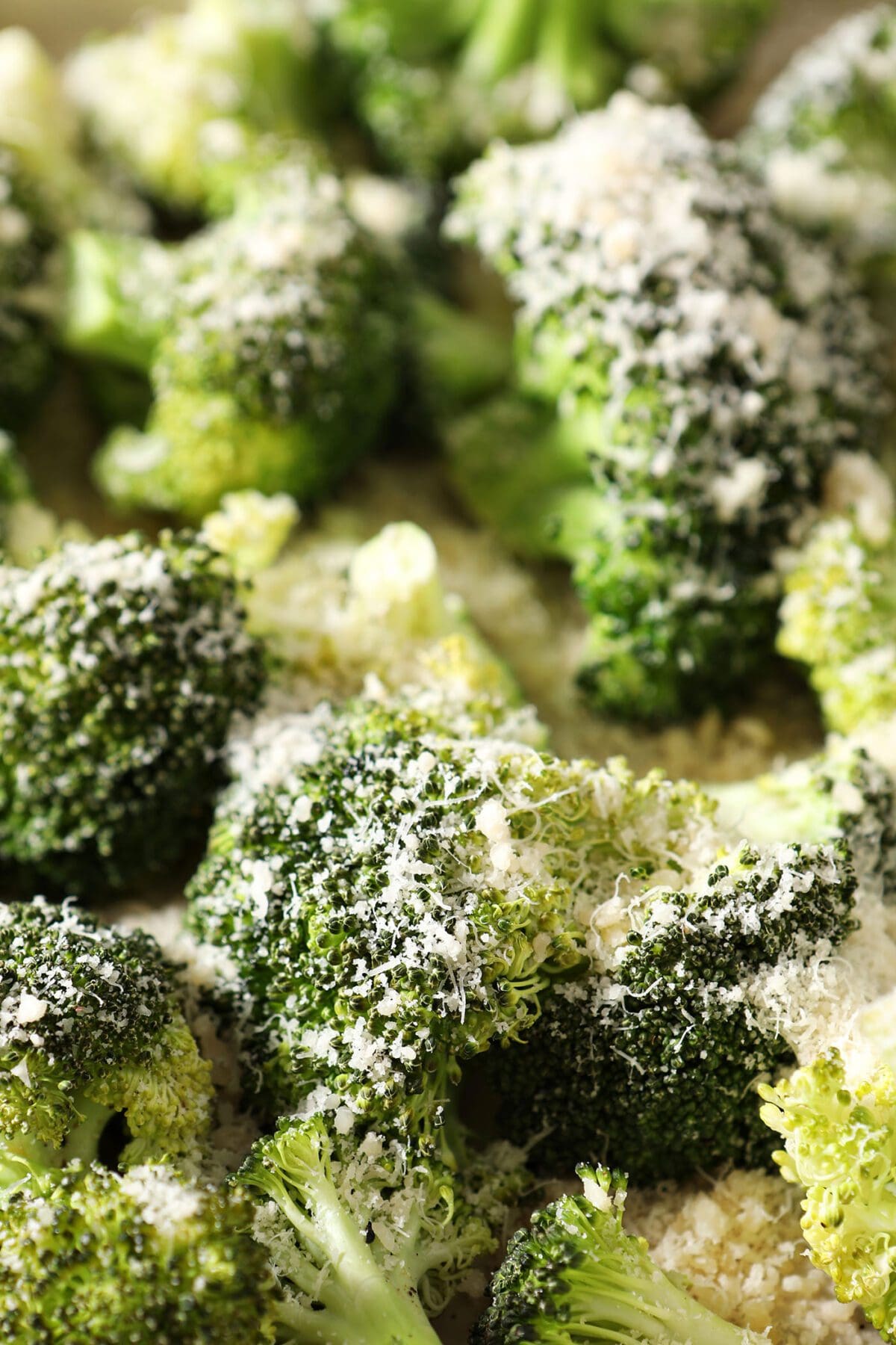 Close up of broccoli topped with shredded parmesan cheese before roasting