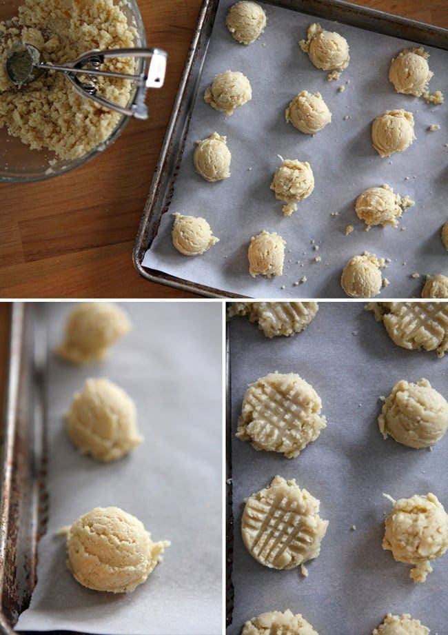 Christmas Cookie Week 2013: Vanilla Bean Shortbread Cookies with a Vanilla Bean Glaze // The Speckled Palate