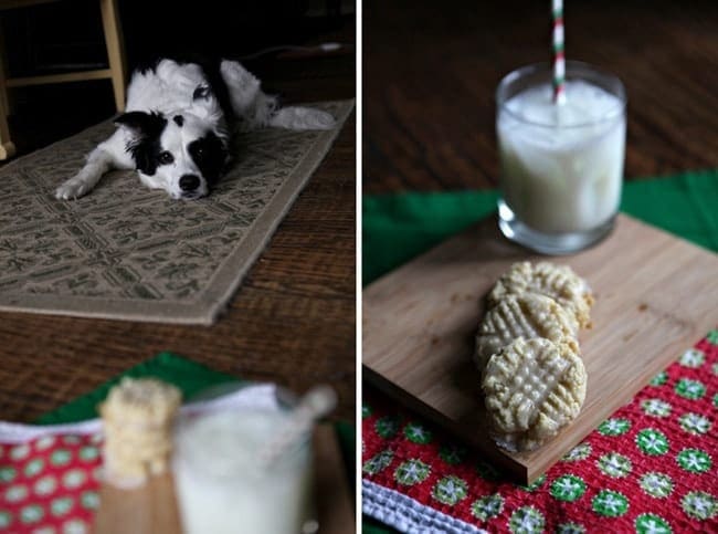 Cookies and milk sitting on tray in front of dog 