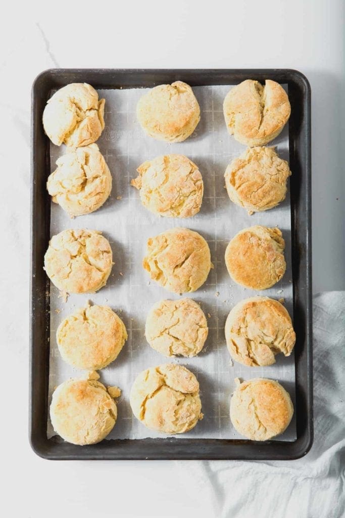 Freshly baked Cream Biscuits sit on a baking sheet after being pulled out of the oven