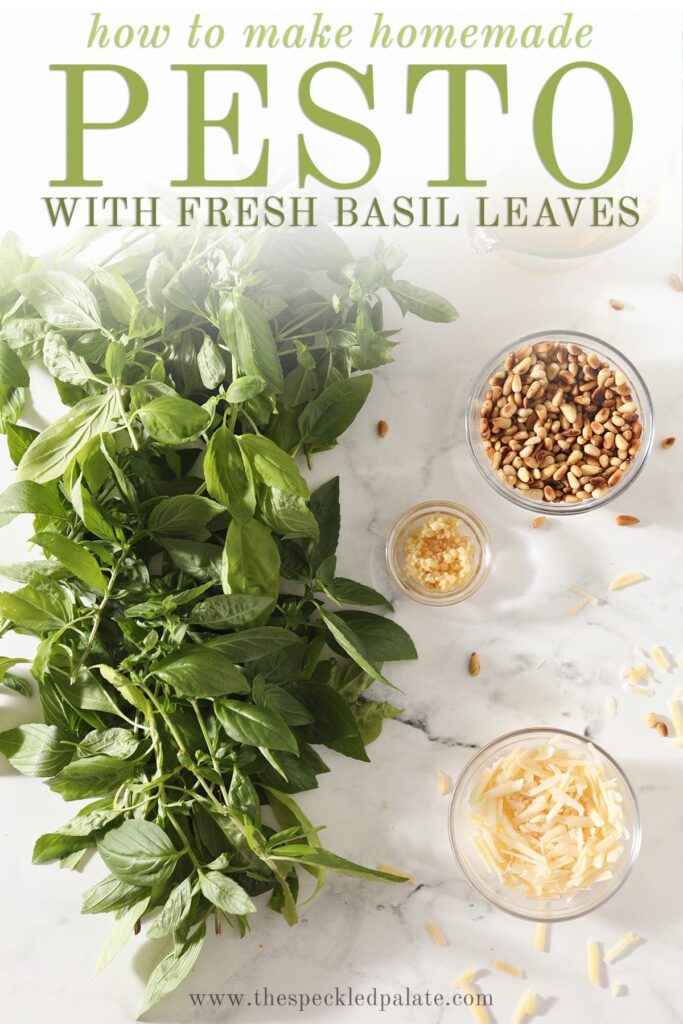 Basil, parmesan, and other ingredients in bowls with the text how to make homemade pesto with fresh basil leaves