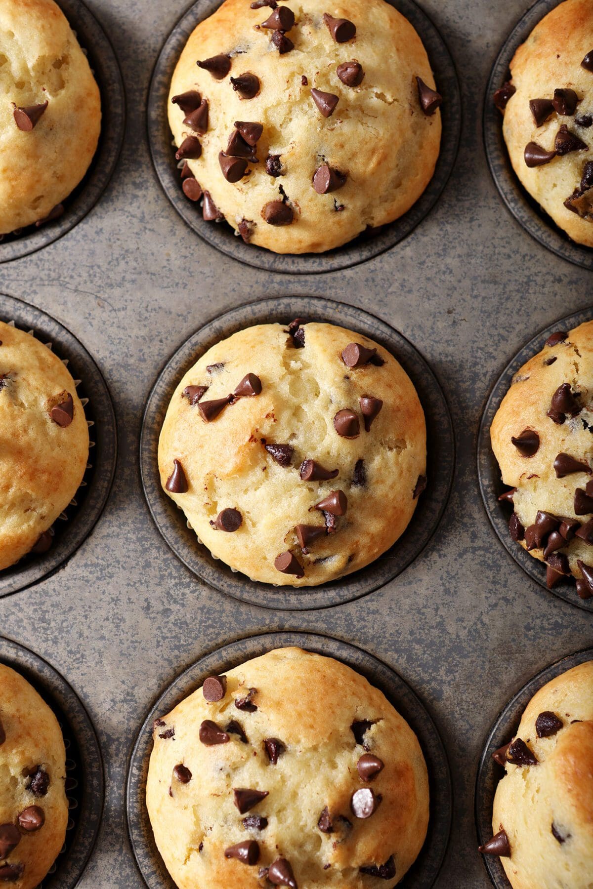 Just baked chocolate chip muffins in a muffin tin