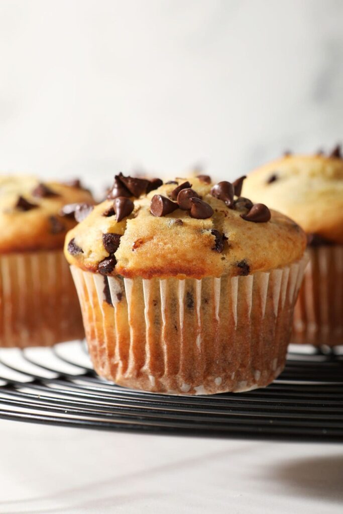 Close-up of a Chocolate Chip Muffin on a wire cooling rack