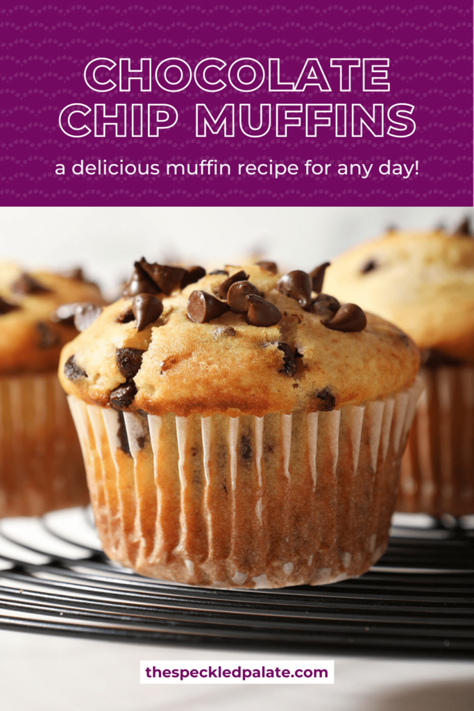 Close-up of a Chocolate Chip Muffin on a wire cooling rack with the text Close-up of a Chocolate Chip Muffins a delicious muffin recipe for any day