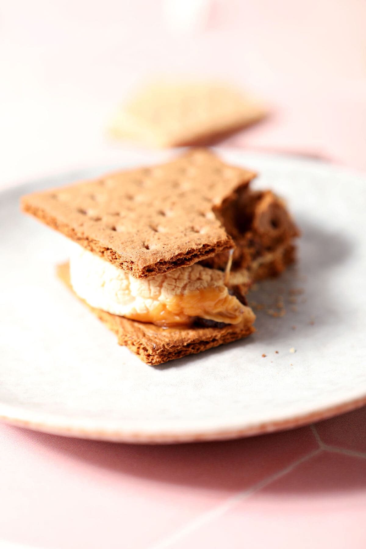 A bitten into s’more on a grey plate on a pink surface