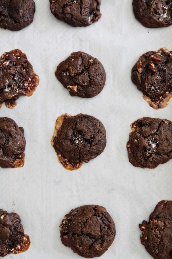 Overhead of baked Chocolate Marshmallow Cookies with Pecans on parchment paper