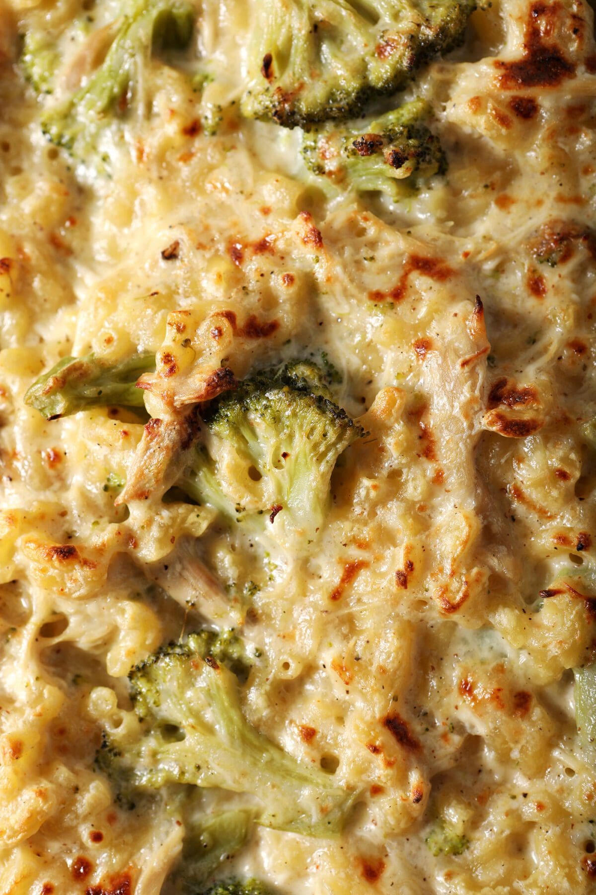 Close up of a pan of Chicken Broccoli Macaroni and Cheese after baking