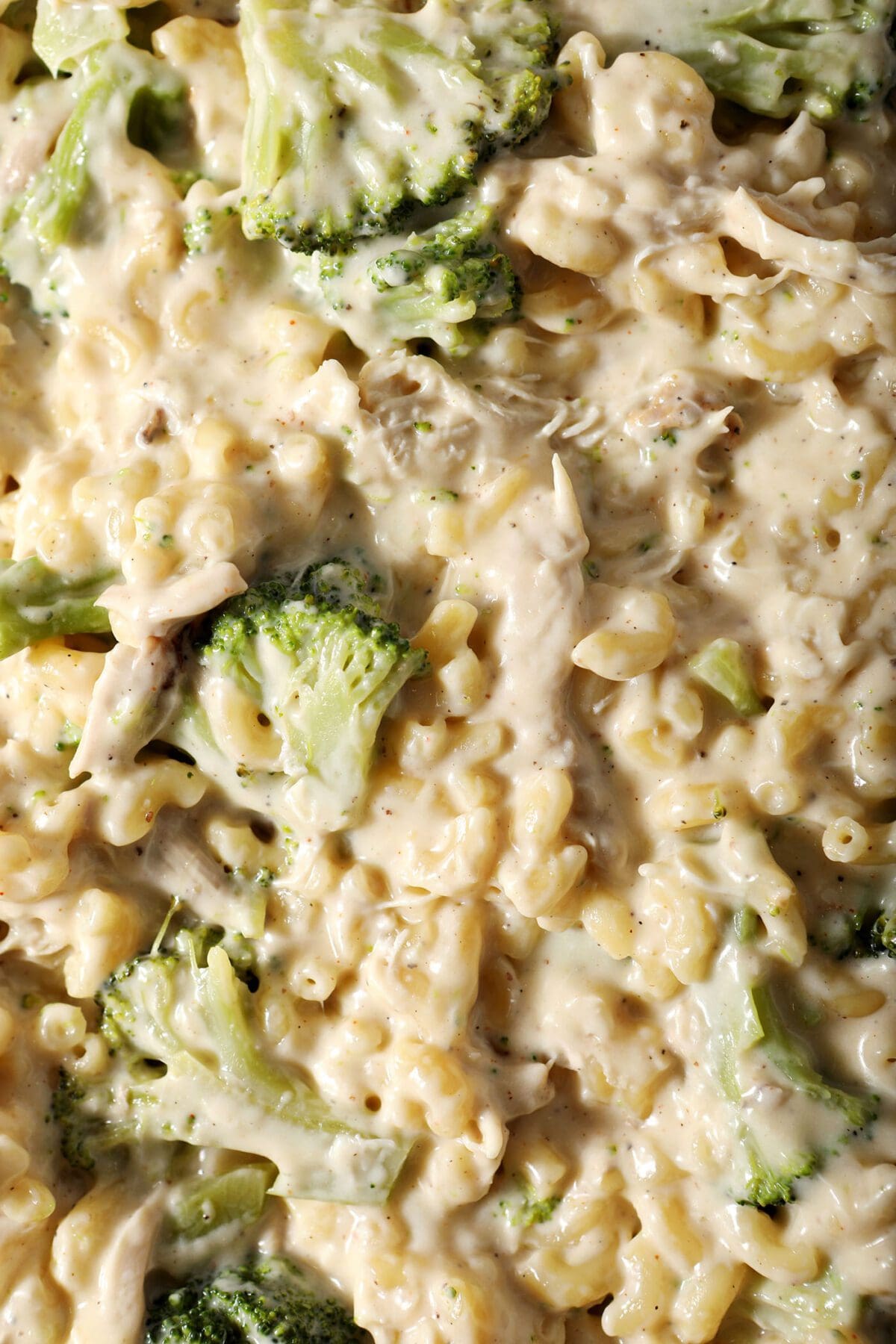 Close up of a Chicken Broccoli Macaroni and Cheese before baking