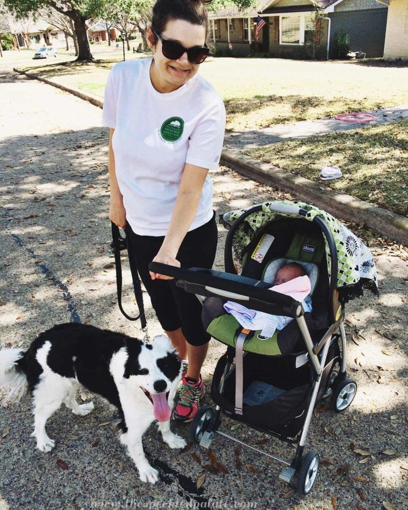 A mother walking her baby in a stroller and dog on a leash 