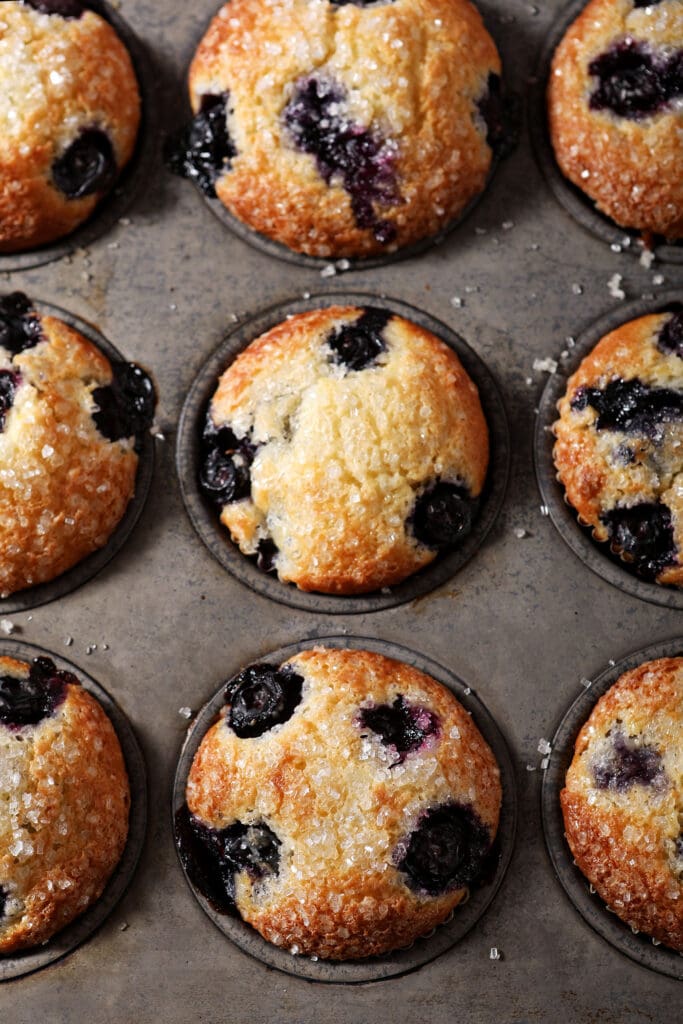 Sour Cream Blueberry Muffins in a muffin tin after baking