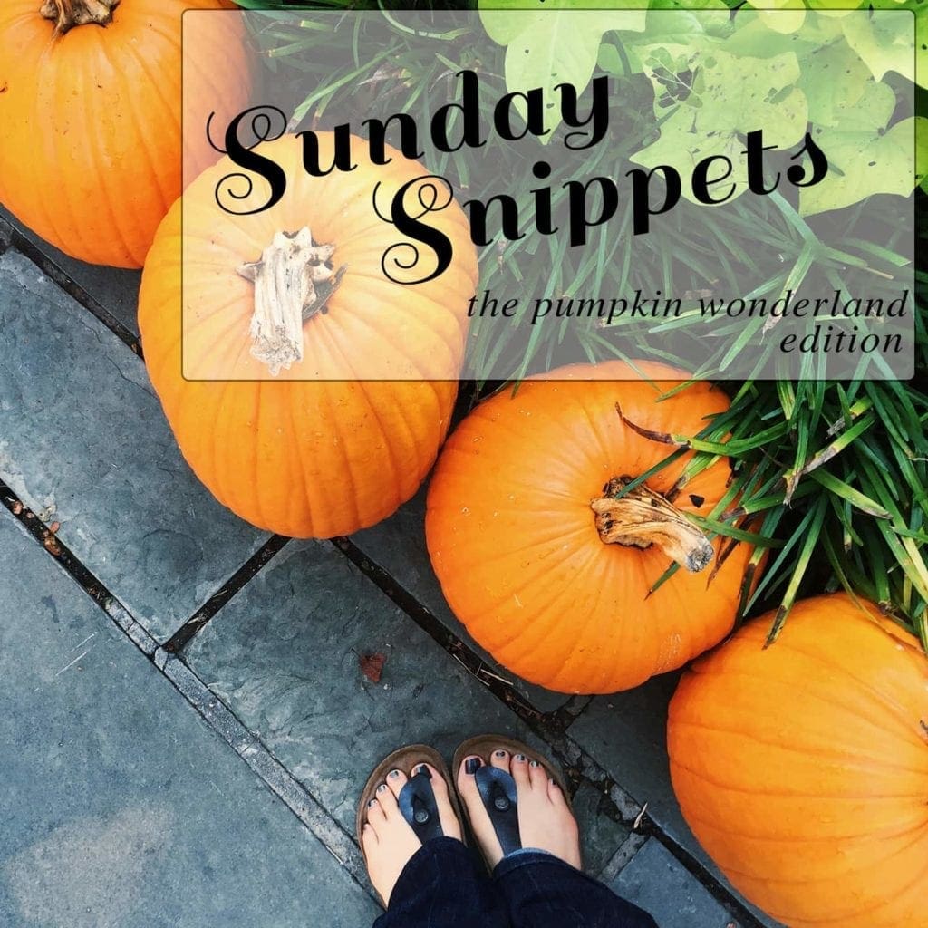 Sunday Snippets: The Pumpkin Wonderland Edition