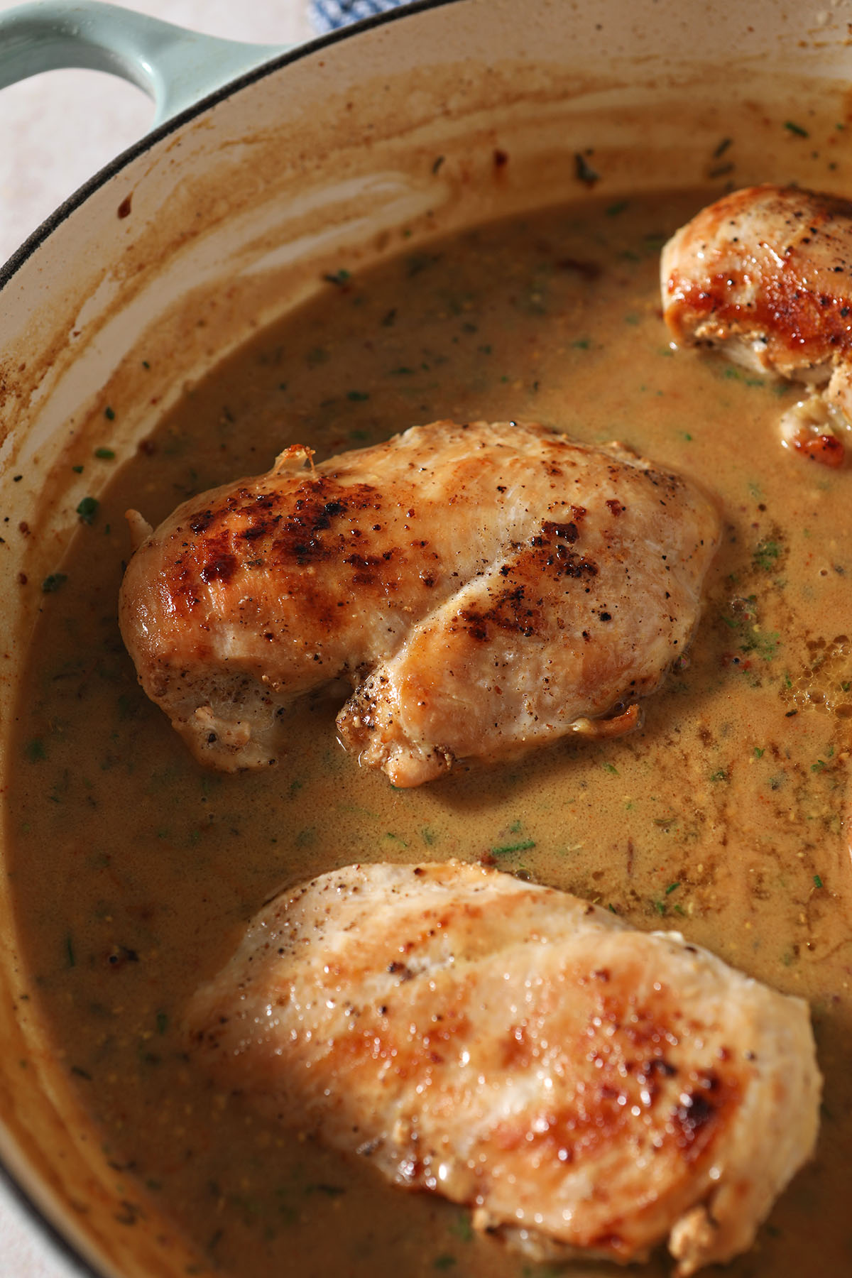 Chicken breasts nestled into mustard sauce in a skillet