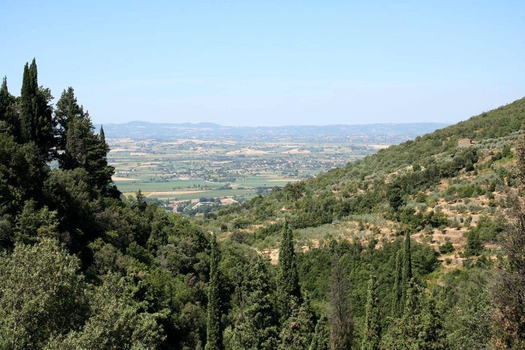 Green trees over looking mountain view 