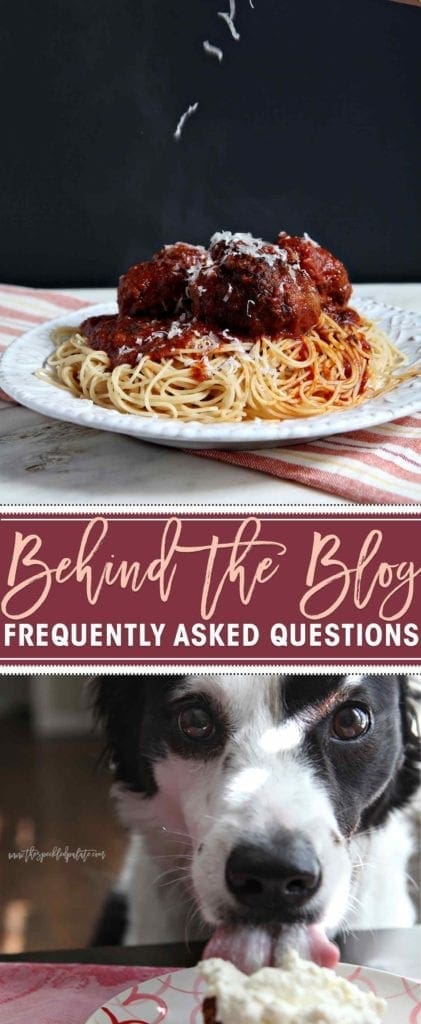 Spaghetti and meatballs on dish and dog licking food on plate 