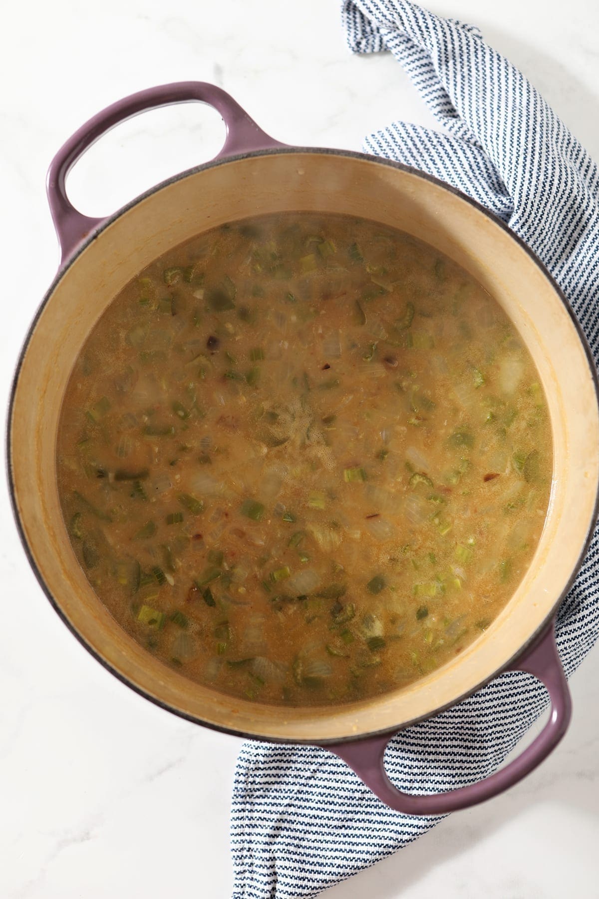 Vegetables and stock in a Dutch oven, from above