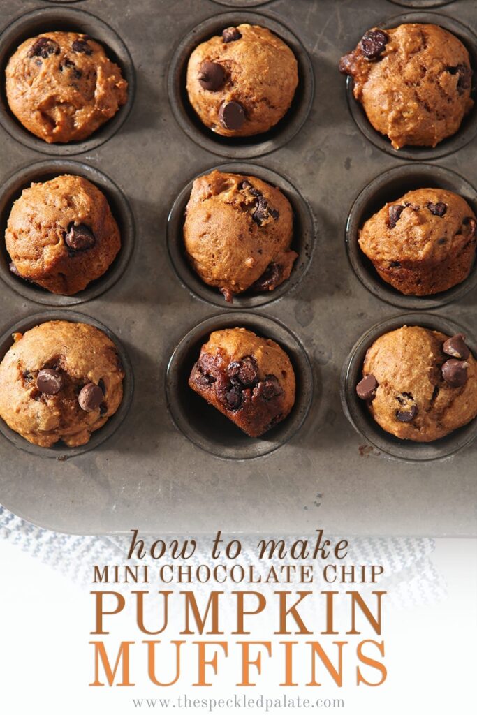 A muffin tin with nine baked mini pumpkin muffins in it with the text 'how to make mini chocolate chip pumpkin muffins'