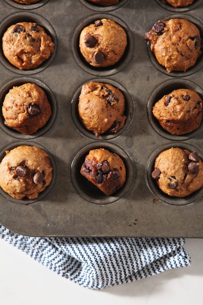 Mini Pumpkin Muffins with Chocolate Chips