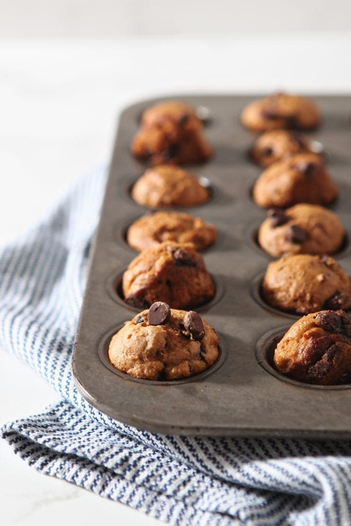 Mini Pumpkin Muffins sit in a muffin tin after baking