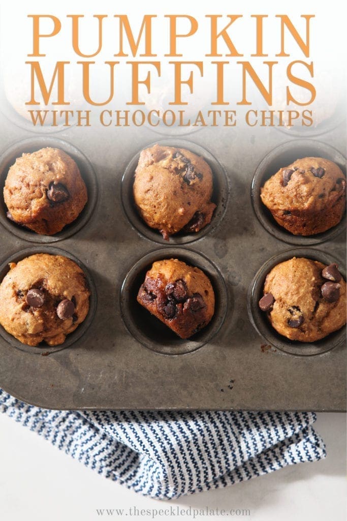 A muffin tin with nine baked mini pumpkin muffins in it with the text 'pumpkin muffins with chocolate chips'