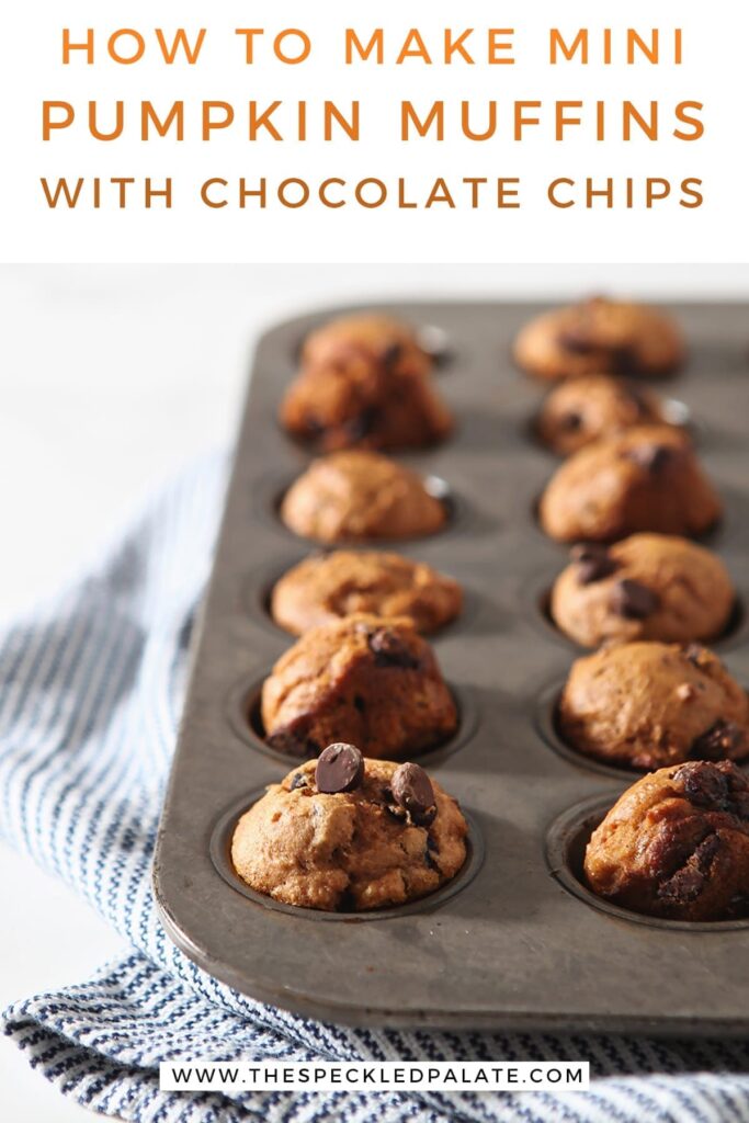 A muffin tin of baked mini pumpkin muffins with the text 'how to make mini pumpkin muffins with chocolate chips'