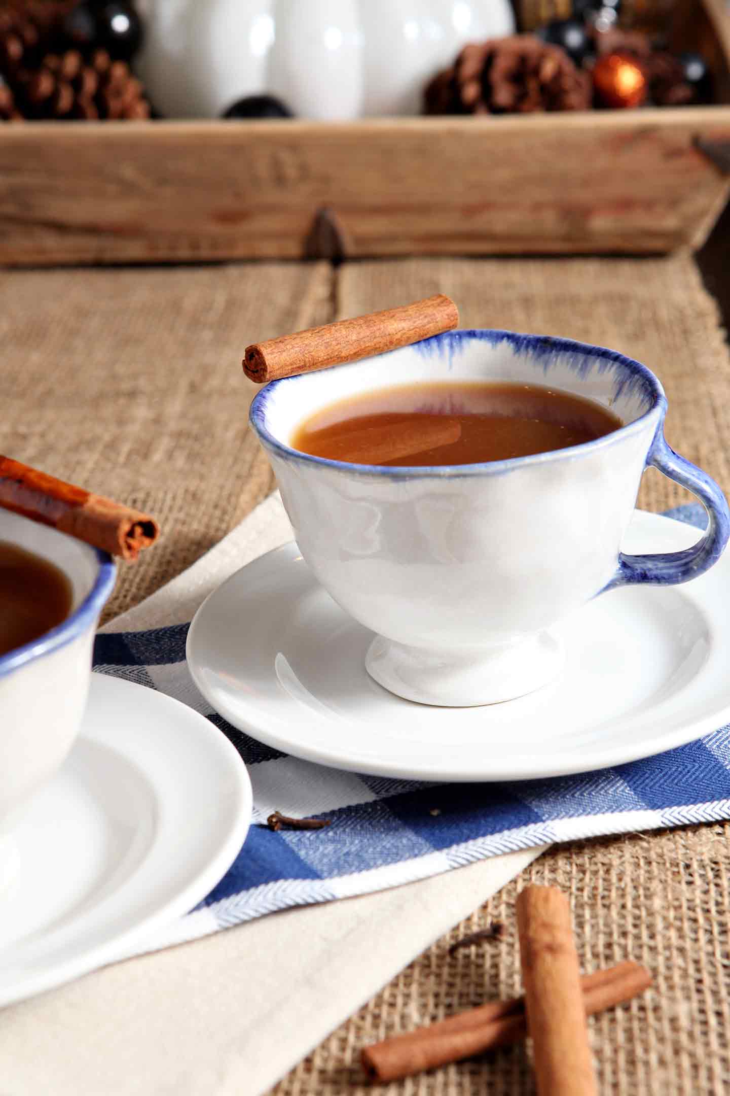 Apple Cider in white cup with cinnamon stick garnish 