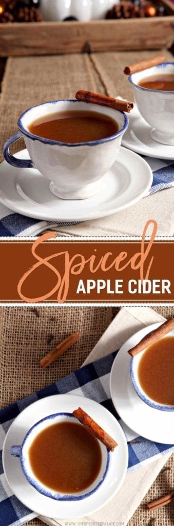 Collage of two images showing Spiced Apple Cider in white cup with cinnamon stick garnish with the text spiced apple cider