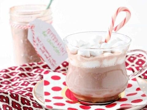 glass mug of hot cocoa with a candy cane and mini marshmallows