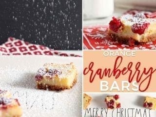 Orange Cranberry Bars