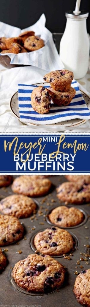 Mini Meyer Lemon Blueberry Muffins 