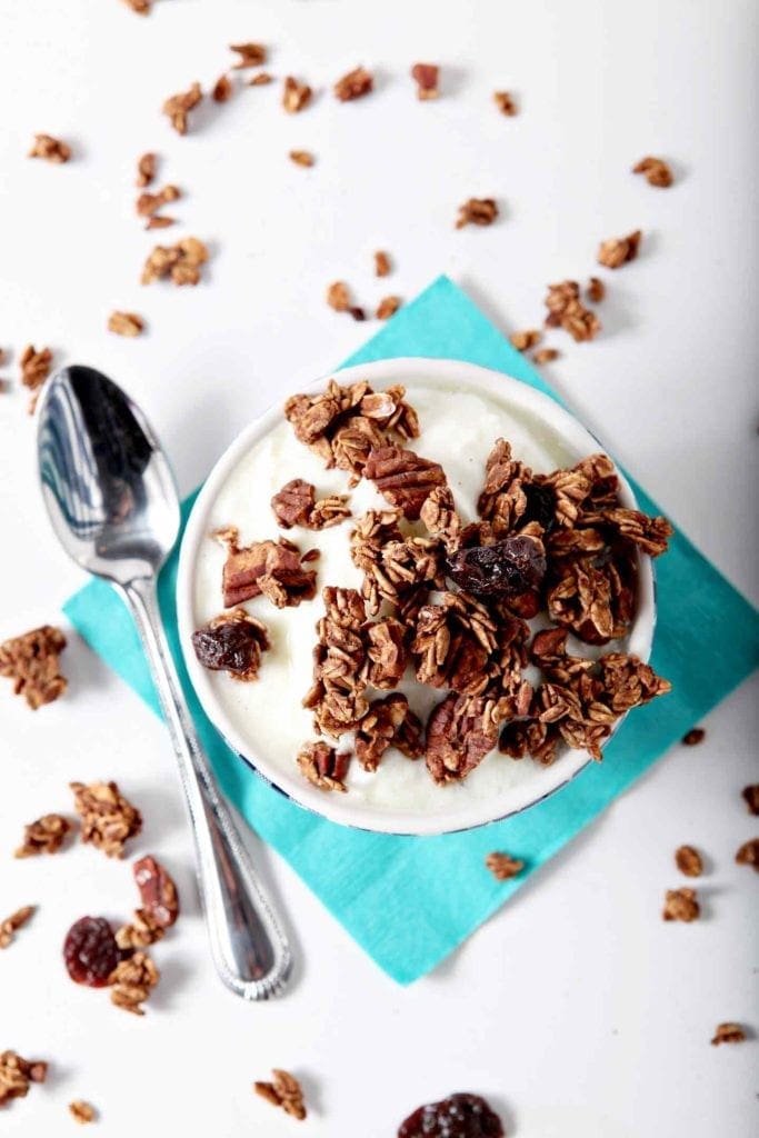 dark chocolate granola in a bowl with a spoon