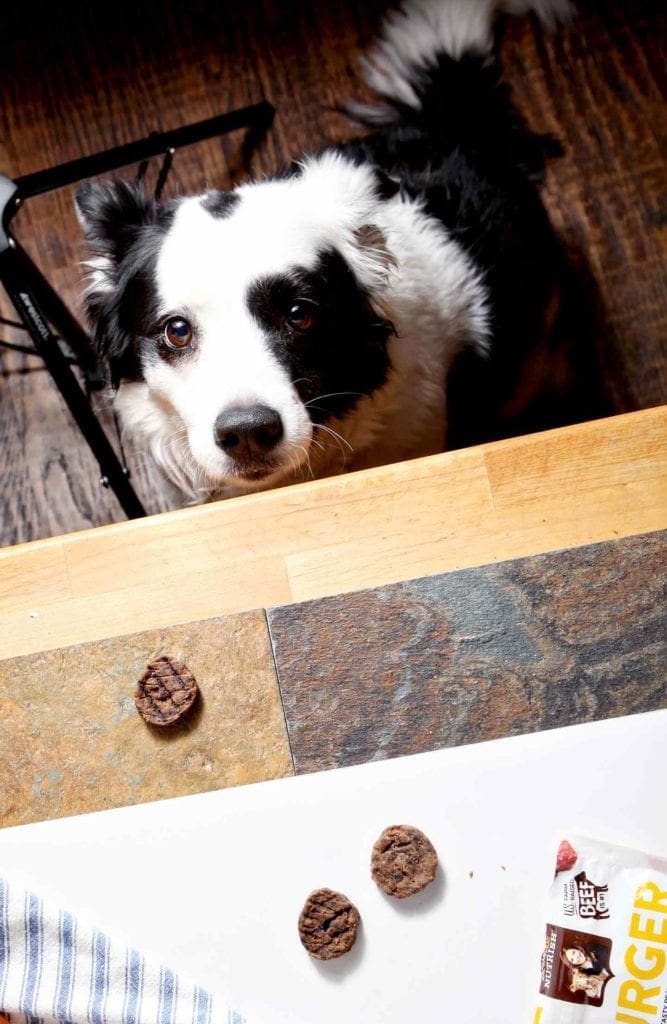 A dog sits next to a table, staring up at a dog treat