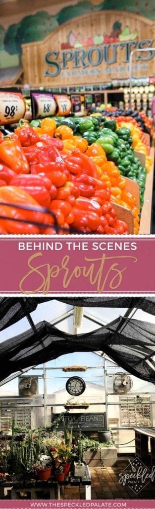 AD | Sprouts Farmers Market | Behind the Scenes | Sprouts Sustainability | Sprouts Recycling | SARRC | Beneficial Beans