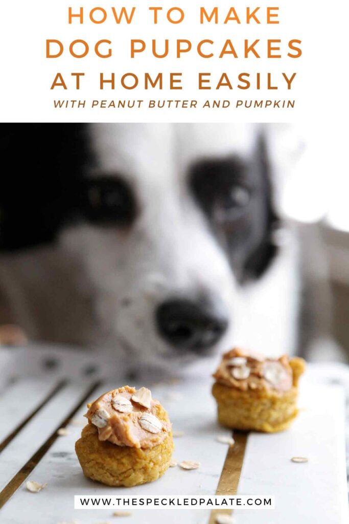 Two pumpkin pupcakes on a marble slab with a dog sniffing them with the text 'how to make dog pupcakes at home easily with peanut butter and pumpkin'