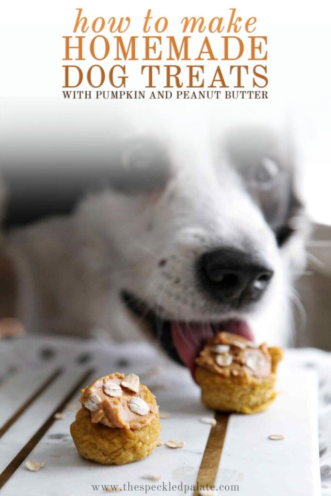 A black and white dog licks a pumpkin pupcake on a marble slab with the text 'how to make homemade dog treats with pumpkin and peanut butter'