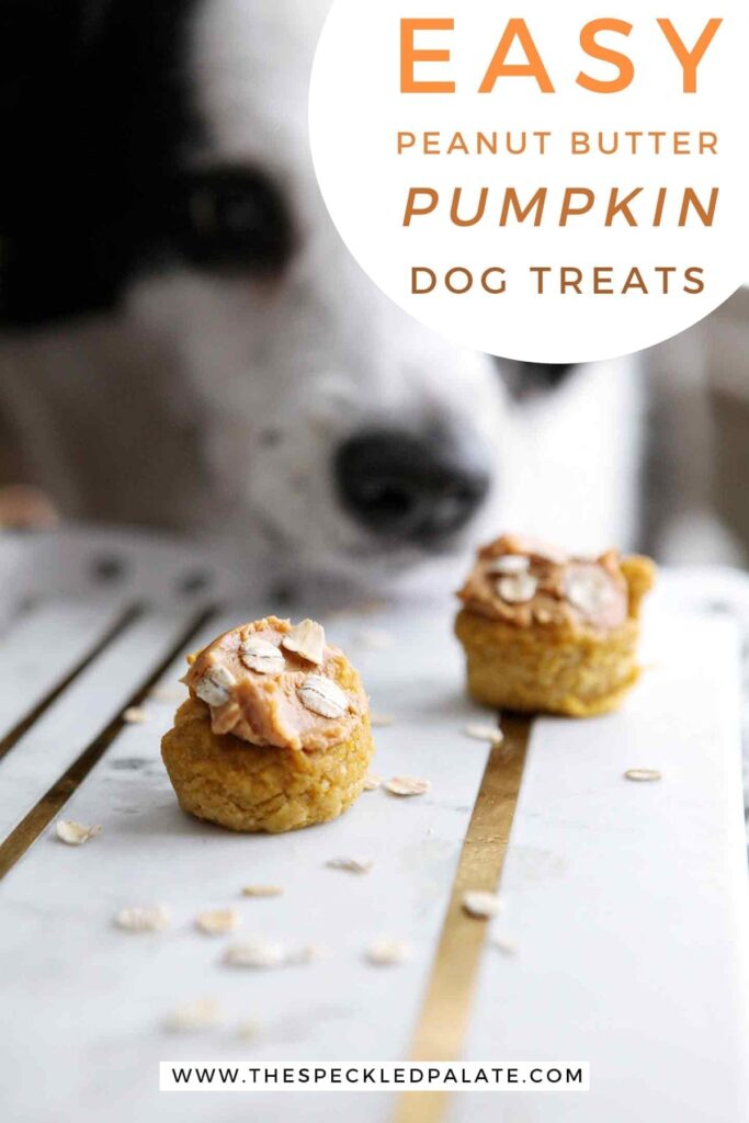 Two pumpkin pupcakes on a marble slab with a dog sniffing them with the text 'easy peanut butter pumpkin dog treats'