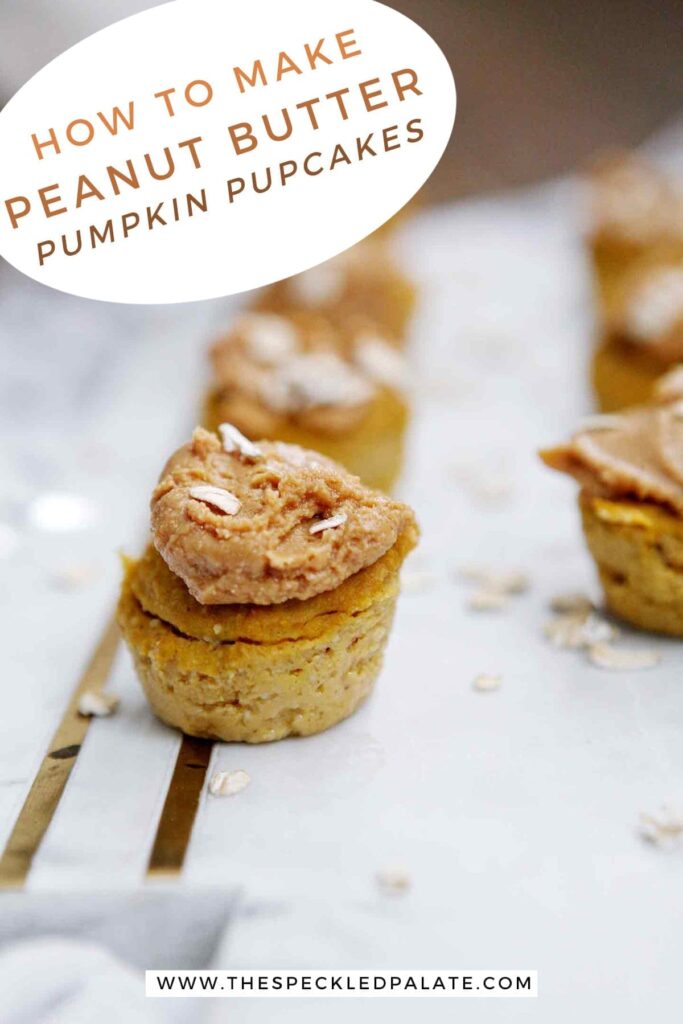 Several Peanut Butter Pumpkin Pupcakes are lined up on a marble slab with the text 'how to make peanut butter pumpkin dog treats'