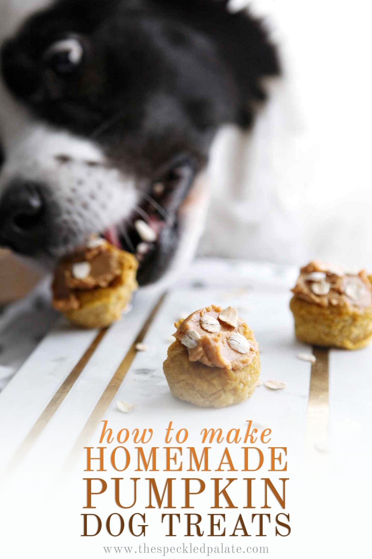 Peanut Butter Pumpkin Pupcake recipe (Homemade Dog Treats)