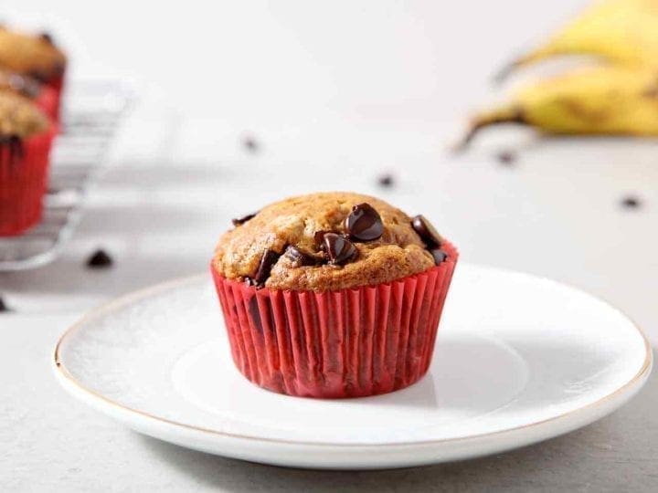 A lone Vegan Banana Chocolate Chip Muffin is placed on a white plate for serving