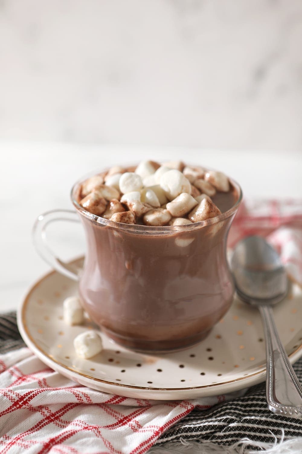 A close up of a Gourmet Hot Chocolate, topped with mini marshmallows